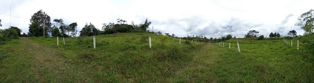 M_Land-for-sale_panorama